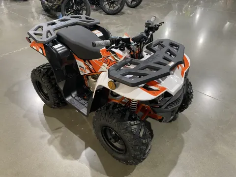 Photos of 2026 Kayo Predator 125 for sale in Grain Valley, MO at Dell's Powersports