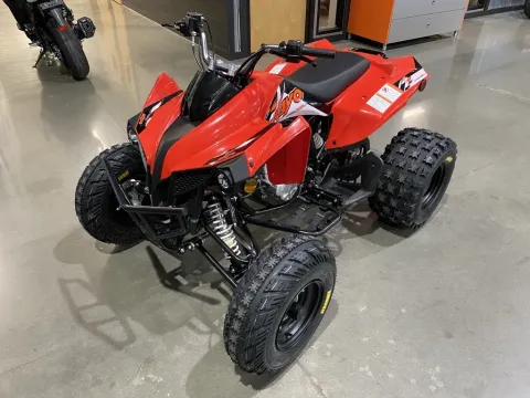 More photos of 2026 Kayo Storm 300 EFI at Dell's Powersports, MO