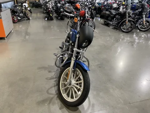 Another view of 2005 Harley-Davidson Sportster 883 Low for sale in Grain Valley, MO at Dell's Powersports