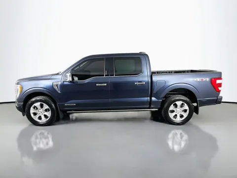 More photos of 2021 Ford F-150 Platinum at Clement Supercenter, MO
