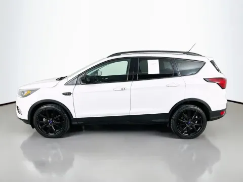 More photos of 2019 Ford Escape SE at Clement Supercenter, MO