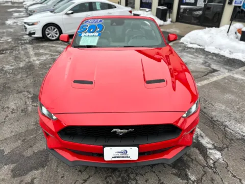 More photos of 2023 FORD MUSTANG ECOBOOST PREMIUM at Pro Auto Finance, IN
