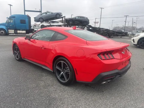 More photos of 2025 Ford Mustang EcoBoost at Jerry Hunt Supercenter - Lexington, NC