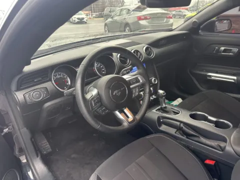 More photos of 2023 Ford Mustang EcoBoost at Jerry Hunt Supercenter - Lexington, NC