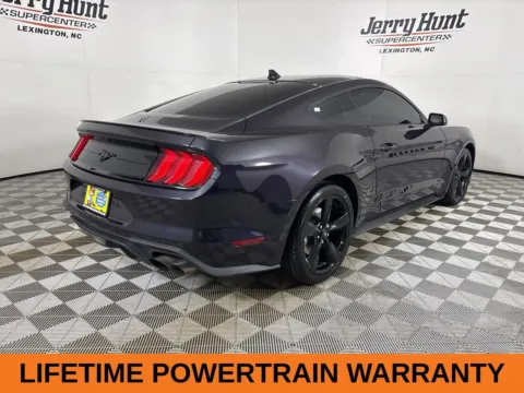 More photos of 2023 Ford Mustang EcoBoost at Jerry Hunt Supercenter - Lexington, NC