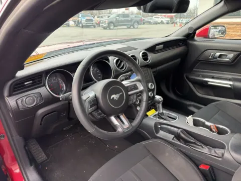 More photos of 2021 Ford Mustang EcoBoost at Jerry Hunt Supercenter - Lexington, NC
