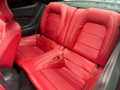 More photos of 2022 Ford Mustang EcoBoost at Jerry Hunt Supercenter - Lexington, NC