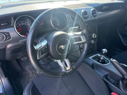 More photos of 2021 Ford Mustang GT at Jerry Hunt Supercenter - Lexington, NC
