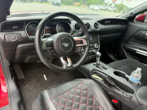 More photos of 2021 Ford Mustang EcoBoost at Jerry Hunt Supercenter - Lexington, NC