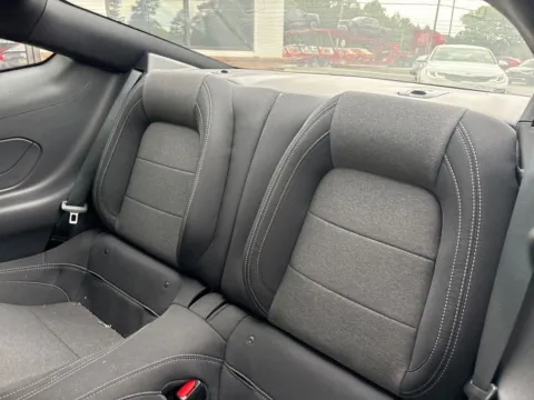 More photos of 2025 Ford Mustang EcoBoost at Jerry Hunt Supercenter - Lexington, NC