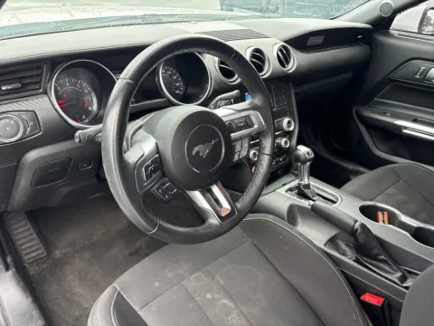 More photos of 2022 Ford Mustang EcoBoost at Jerry Hunt Supercenter - Lexington, NC