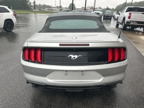 More photos of 2019 Ford Mustang EcoBoost Premium at Jerry Hunt Supercenter - Lexington, NC