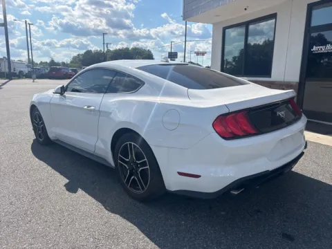 More photos of 2022 Ford Mustang EcoBoost at Jerry Hunt Supercenter - Lexington, NC