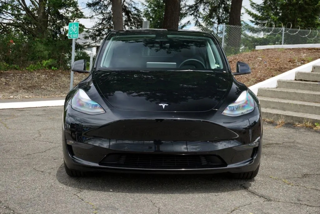 Tesla Model Y photo 2