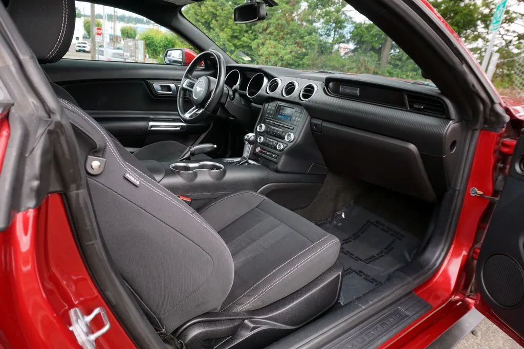 Ford Mustang photo 10