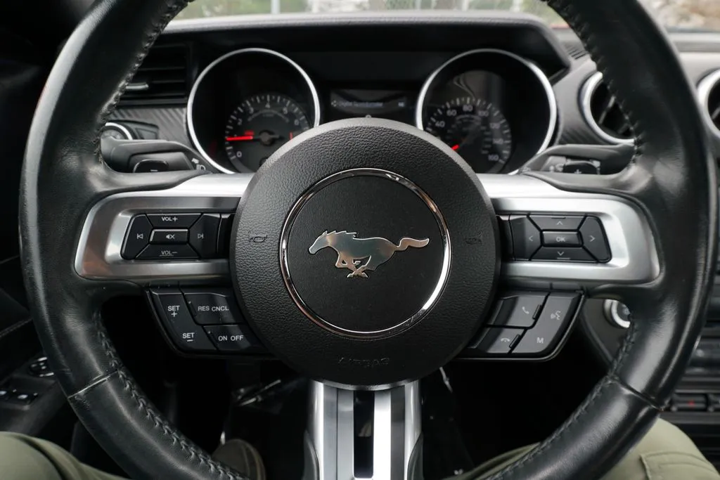 Ford Mustang photo 16