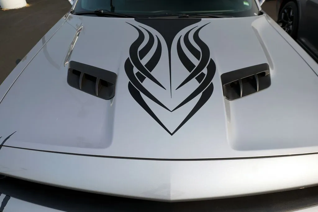 Dodge Challenger photo 10