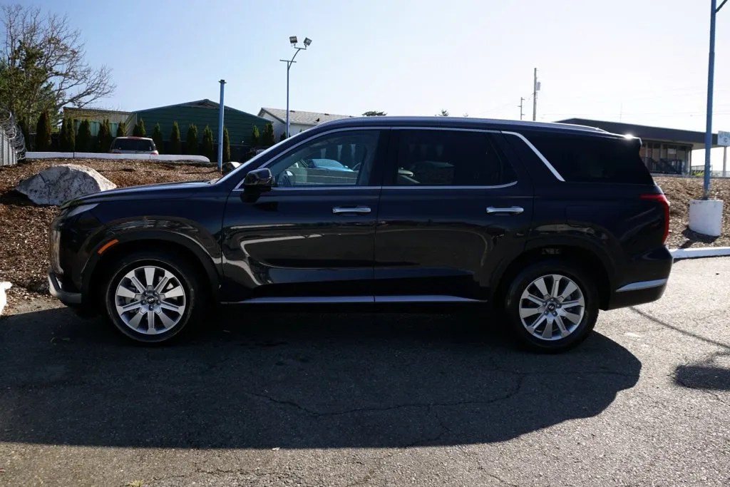 Hyundai Palisade photo 8