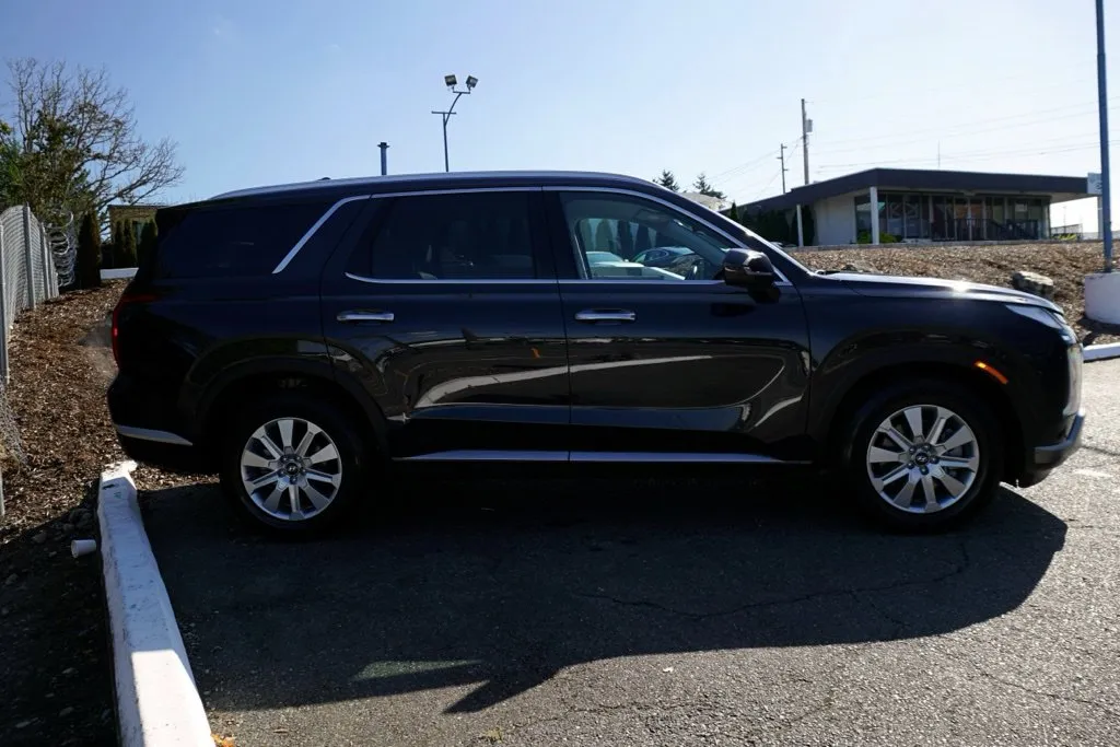 Hyundai Palisade photo 6
