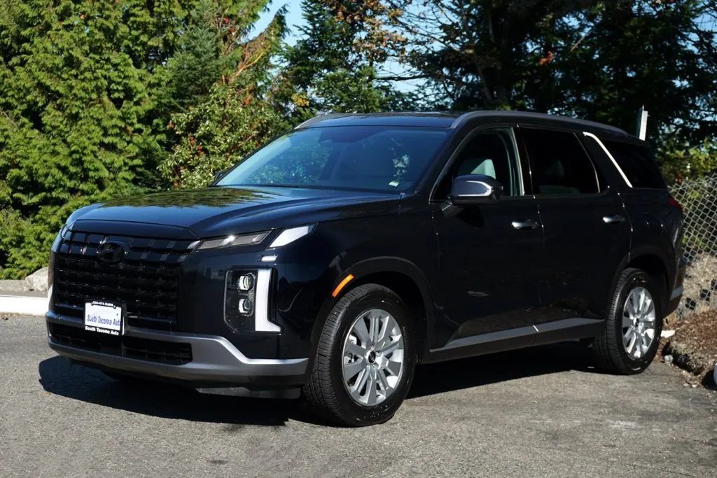 Hyundai Palisade photo 7