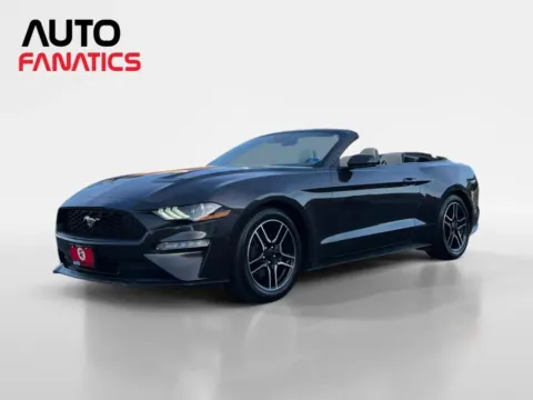 Gray 2022 Ford Mustang EcoBoost Premium Convertible 2D for sale in Fredericksburg, VA