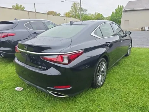More photos of 2019 Lexus ES 350 Luxury Sedan 4D at Auto Fanatics, VA