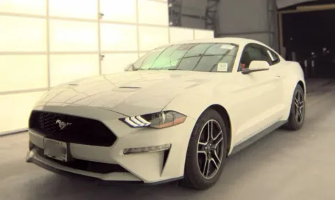 White 2022 Ford Mustang EcoBoost Coupe 2D for sale in Fredericksburg, VA