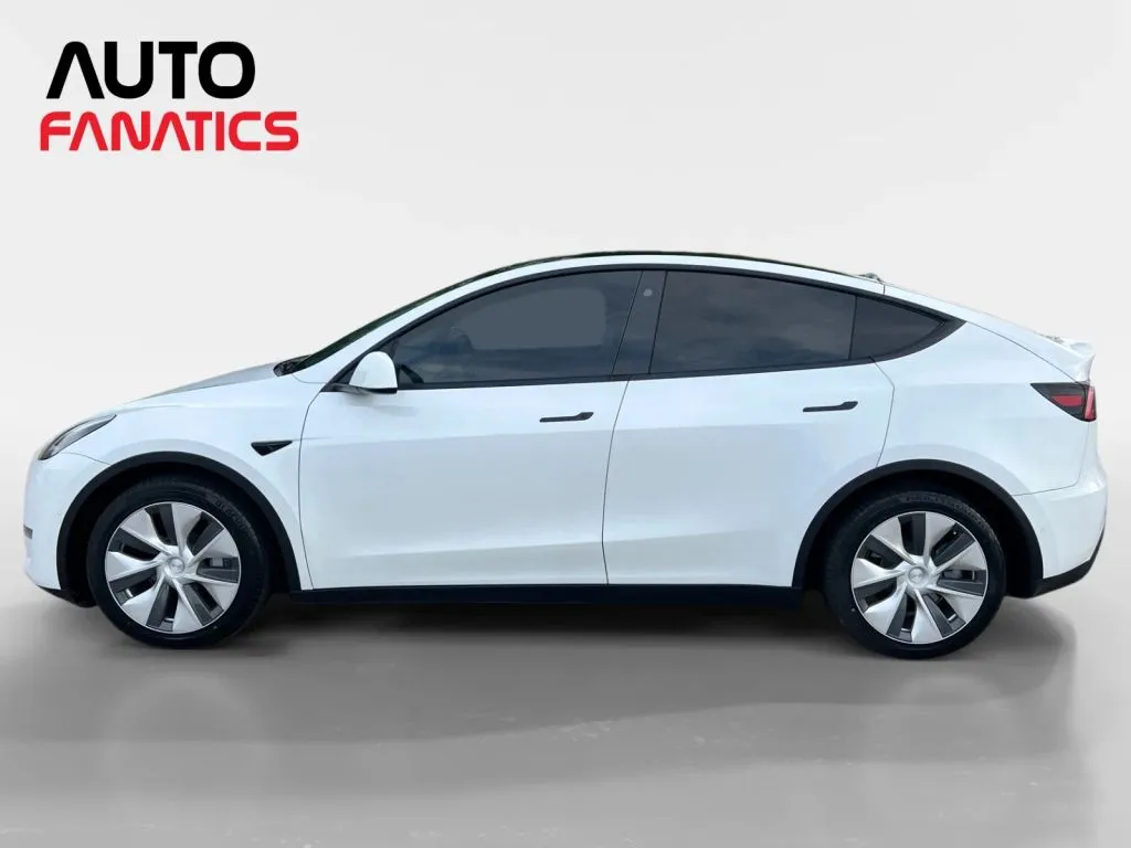 Tesla Model Y photo 2