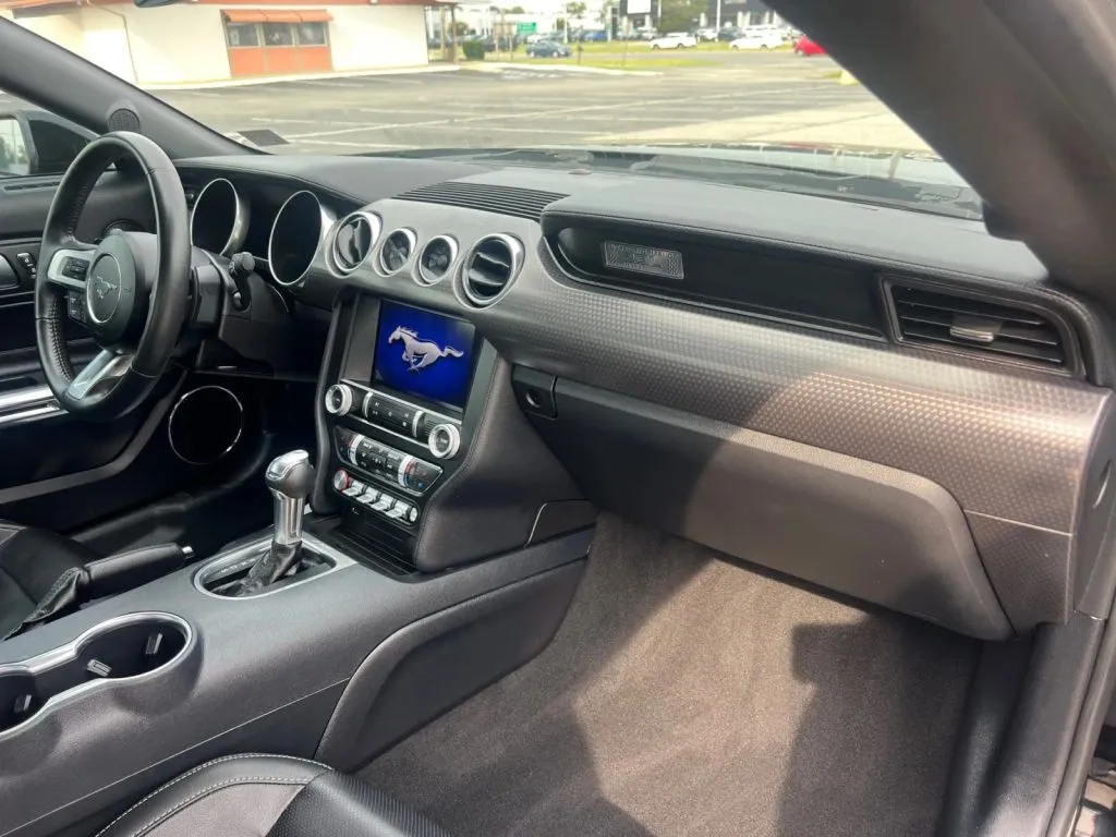 Ford Mustang photo 14