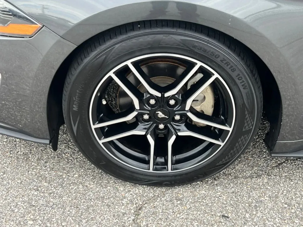 Ford Mustang photo 26