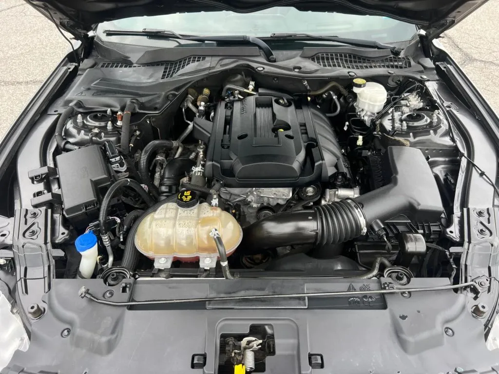 Ford Mustang photo 27