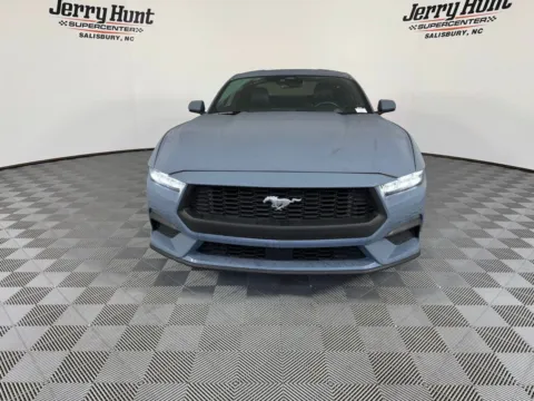 More photos of 2024 Ford Mustang EcoBoost Premium at Jerry Hunt Supercenter - Salisbury, NC
