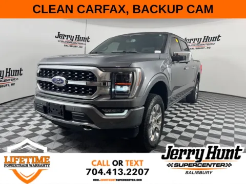 Gray 2021 Ford F-150 Platinum for sale in Salisbury, NC