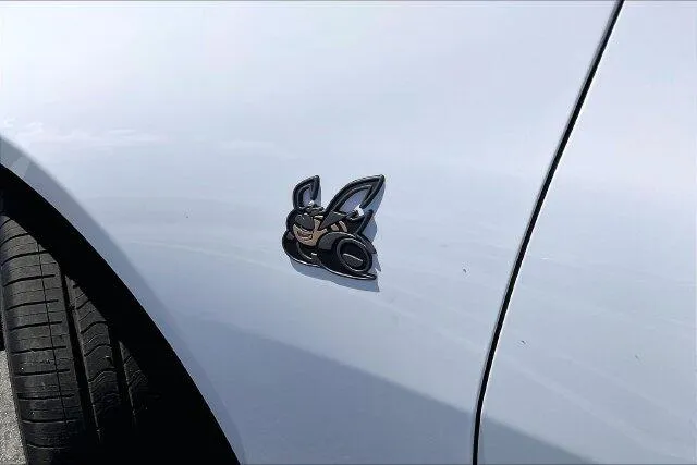 Dodge Charger photo 13