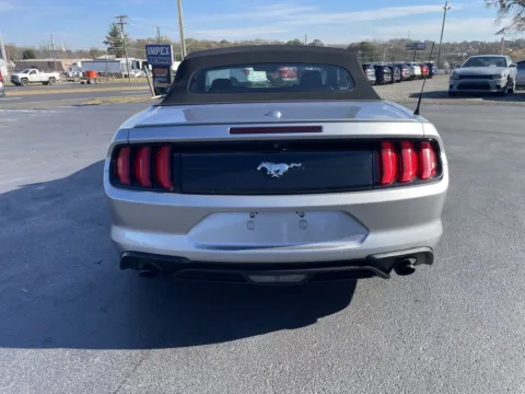 More photos of 2022 Ford Mustang EcoBoost Premium at Impex Pre-Owned LLC, SC