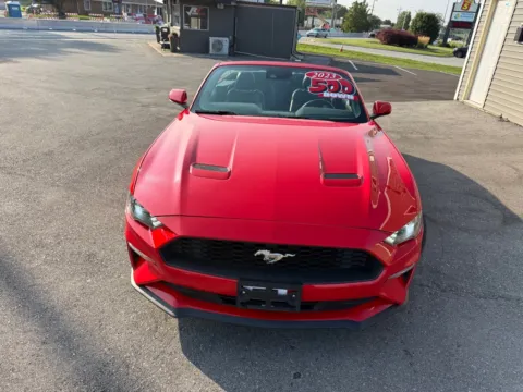 More photos of 2023 FORD MUSTANG ECOBOOST at Ride Time Auto Finance Crown Point, IN