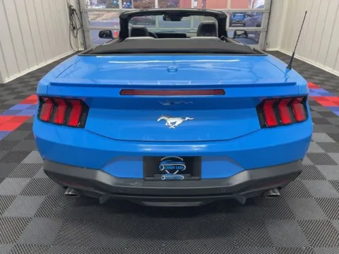 More photos of 2024 Ford Mustang EcoBoost Premium at Candy Cars, NY