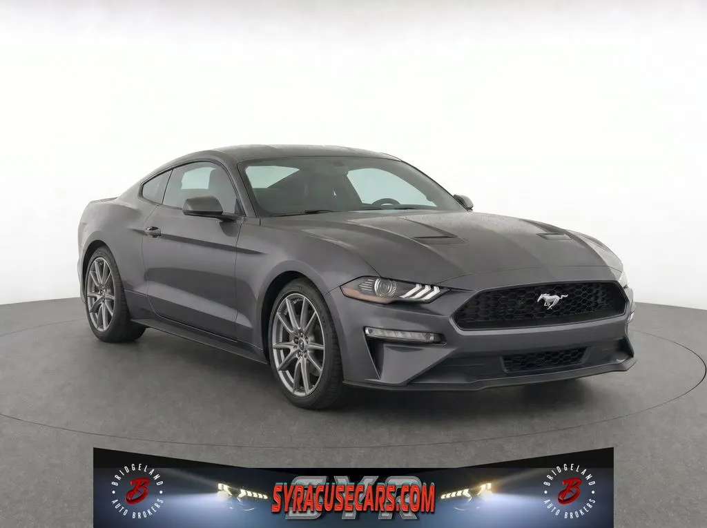 2019 Ford Mustang EcoBoost for sale in Bridgeport, NY