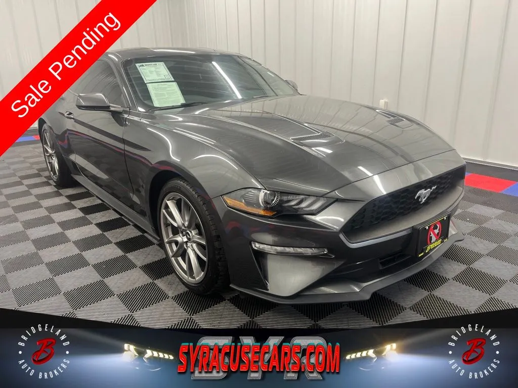 2019 Ford Mustang EcoBoost for sale in Bridgeport, NY