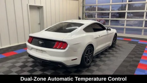 More photos of 2021 Ford Mustang EcoBoost at Candy Cars, NY