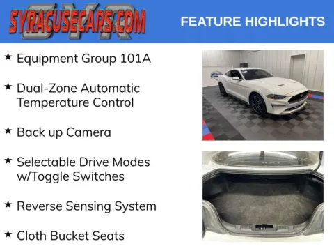 More photos of 2021 Ford Mustang EcoBoost at Candy Cars, NY