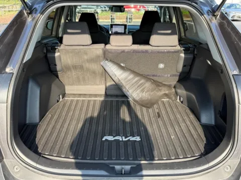 More photos of 2024 Toyota RAV4 LE at Jay Wolfe Toyota of West County, MO
