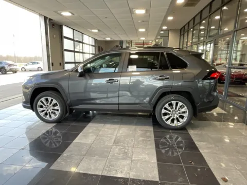 More photos of 2025 Toyota RAV4 XLE Premium at Jay Wolfe Toyota, MO