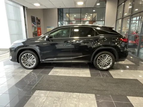 More photos of 2022 Lexus RX 350 at Jay Wolfe Toyota, MO