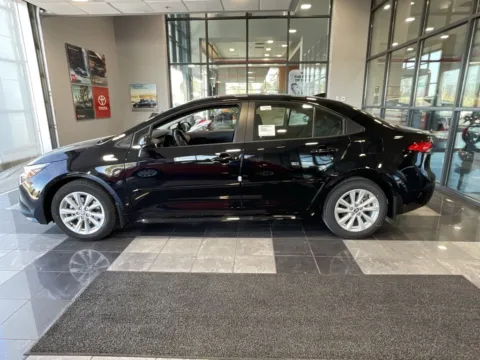 More photos of 2026 Toyota Corolla Hybrid LE at Jay Wolfe Toyota, MO
