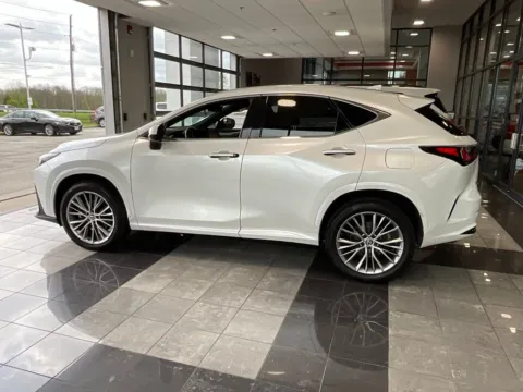 More photos of 2023 Lexus NX 350h Premium at Jay Wolfe Toyota, MO