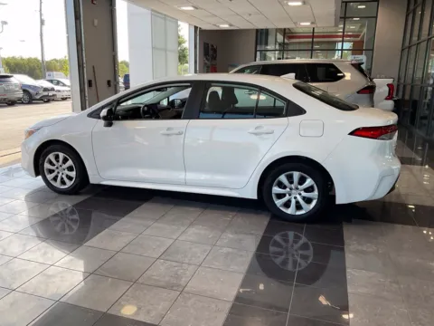 More photos of 2024 Toyota Corolla LE at Jay Wolfe Toyota, MO
