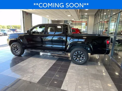 More photos of 2023 Toyota Tacoma Limited at Jay Wolfe Toyota, MO