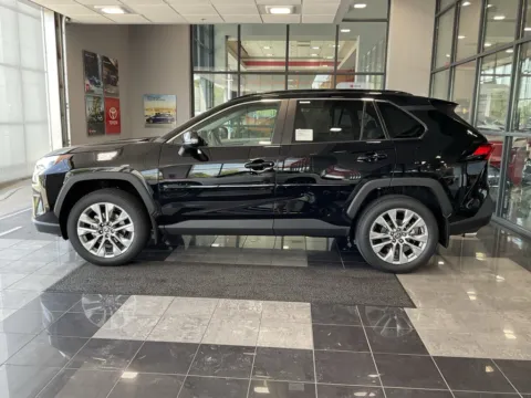 More photos of 2025 Toyota RAV4 XLE Premium at Jay Wolfe Toyota, MO