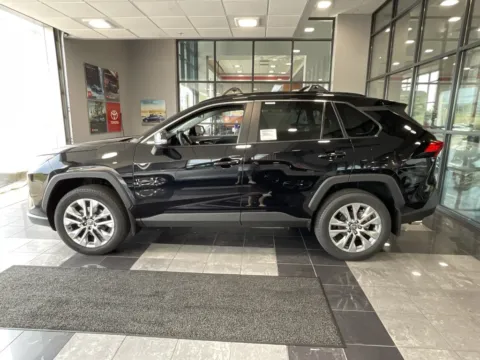 More photos of 2025 Toyota RAV4 XLE Premium at Jay Wolfe Toyota, MO